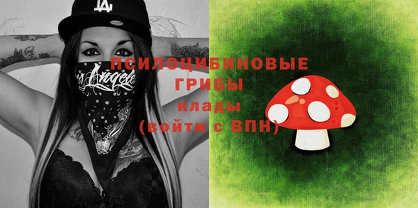 мдпв Заволжск