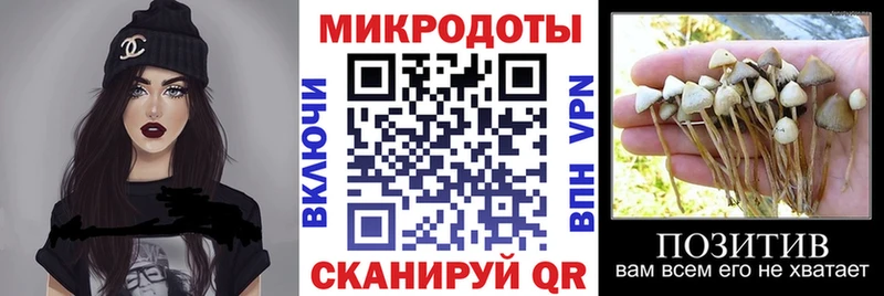 Псилоцибиновые грибы мицелий  Купить закладки  Певек 
